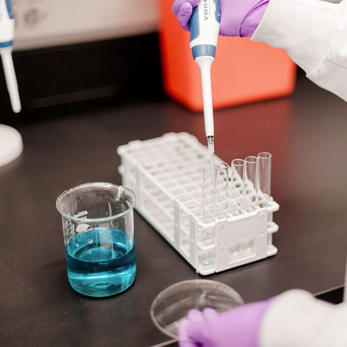 Closeup of scientist adding blue liquid to vials in a laboratory